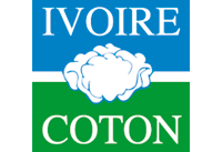 LOGO IVOIRE COTON